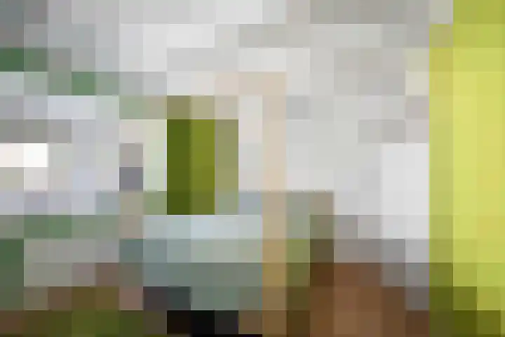 Stationsstraat 65 Twello thumbnail 16