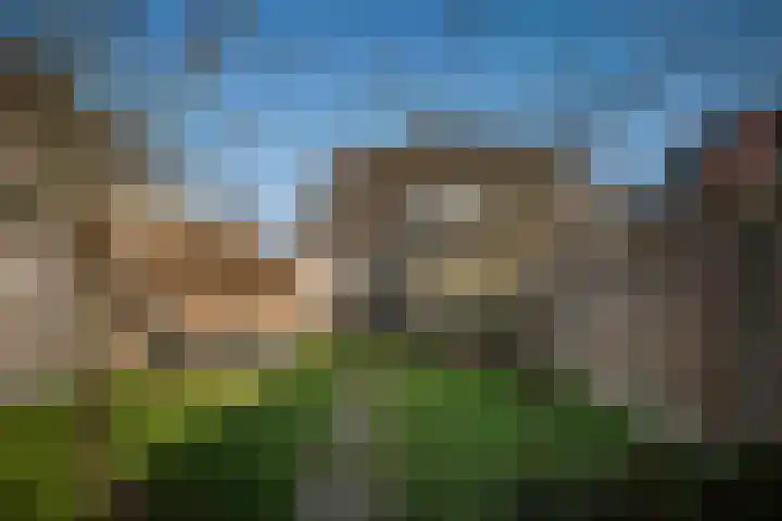 Stationsstraat 65 Twello thumbnail 21