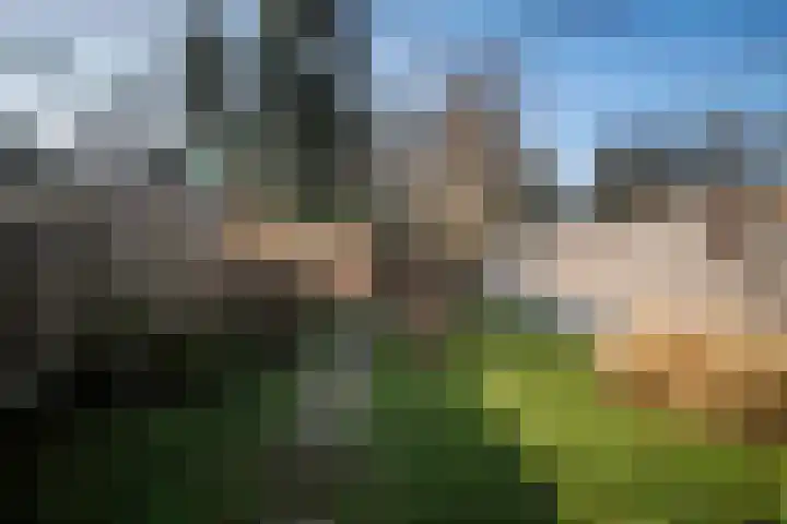 Stationsstraat 65 Twello thumbnail 23