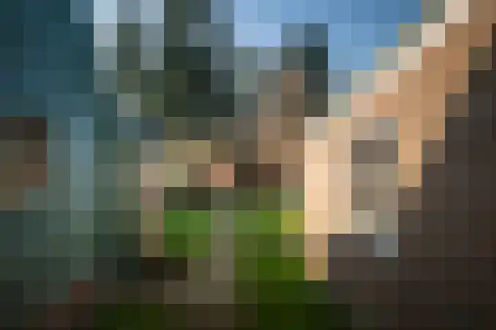 Stationsstraat 65 Twello thumbnail 25