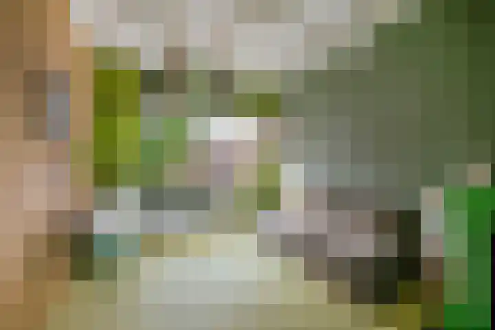 Stationsstraat 65 Twello thumbnail 6