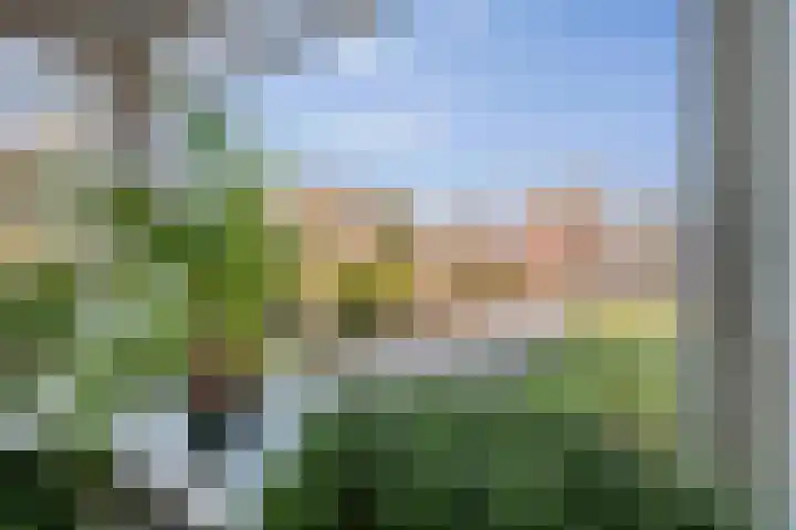 Stationsstraat 65 Twello thumbnail 9