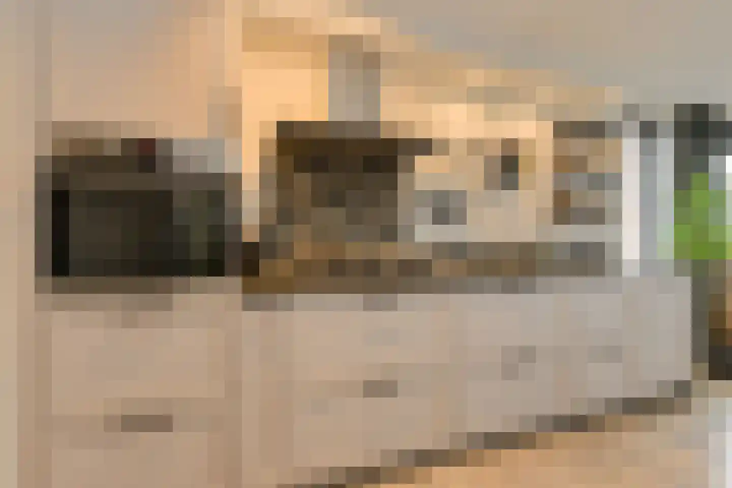 Stationsstraat 65 Zevenbergen thumbnail 8