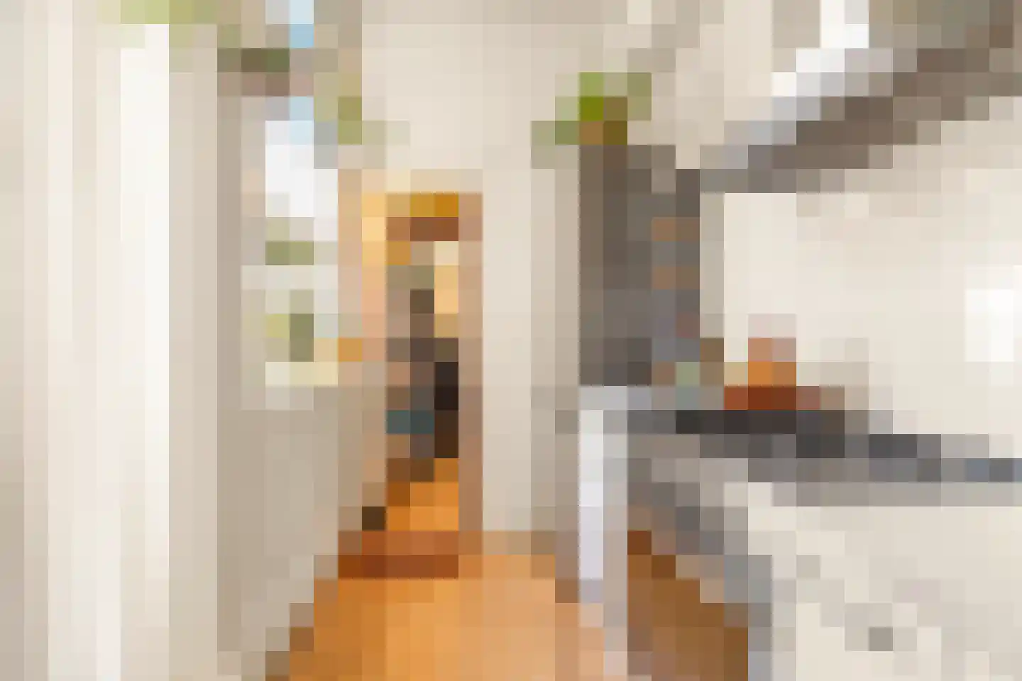 Stationsstraat 66 Zaandam thumbnail 14