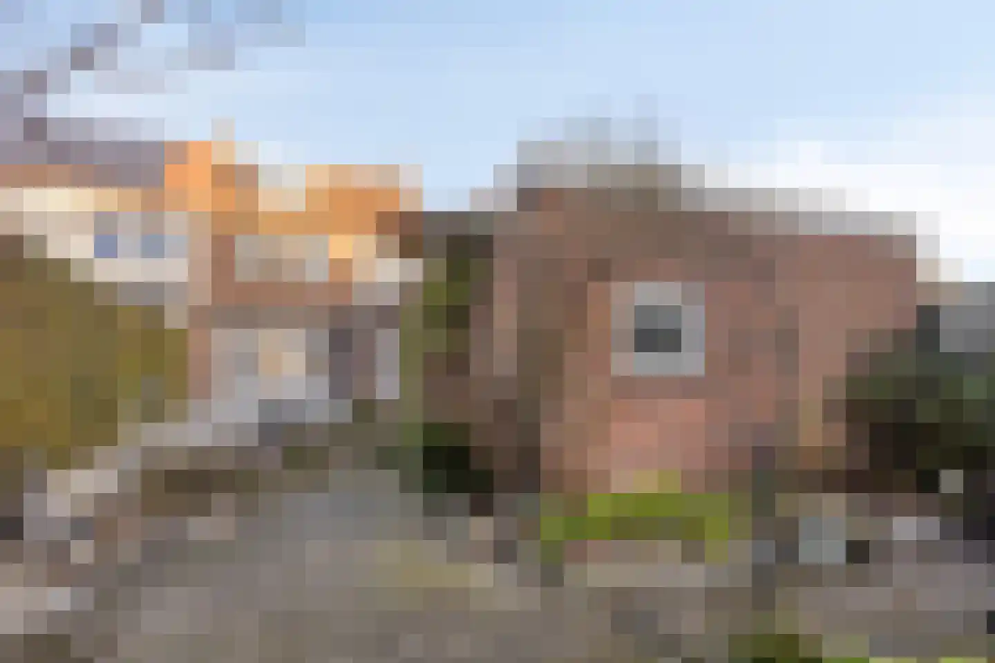 Stationsstraat 67 Gronsveld thumbnail 5
