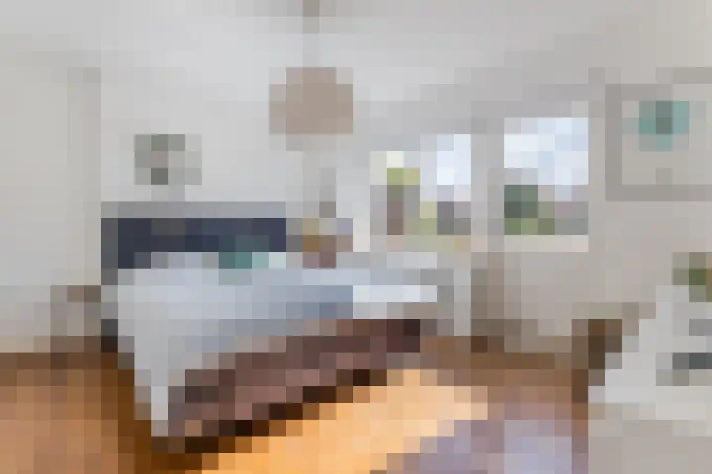 Stationsstraat 69 F Zaandam thumbnail 24