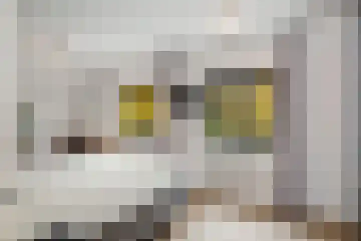 Stationsstraat 69 Twello thumbnail 37