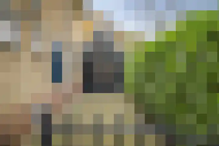 Stationsstraat 69 Twello thumbnail 4