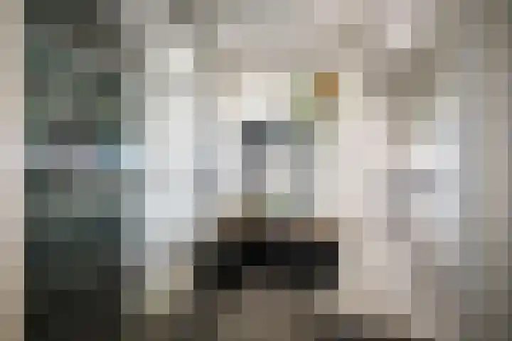 Stationsstraat 69 Twello thumbnail 47