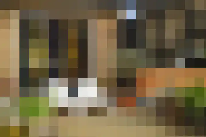 Stationsstraat 69 Twello thumbnail 62
