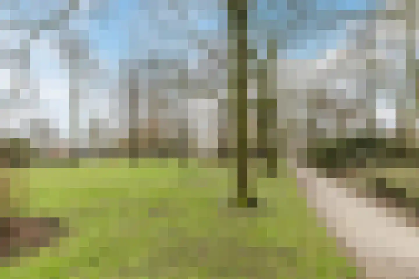 Stationsstraat 7 A Koog aan de Zaan thumbnail 47