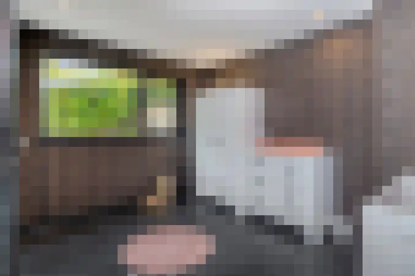 Stationsstraat 7 B Schinnen thumbnail 17