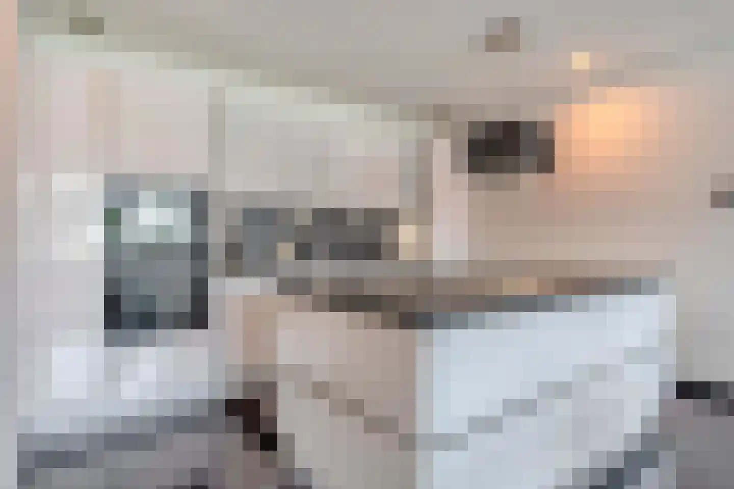 Stationsstraat 7 B Schinnen thumbnail 30