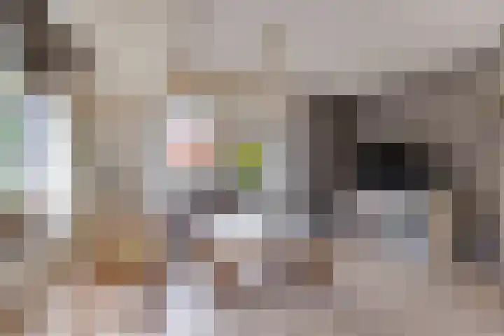 Stationsstraat 7 Nieuw-Buinen thumbnail 11