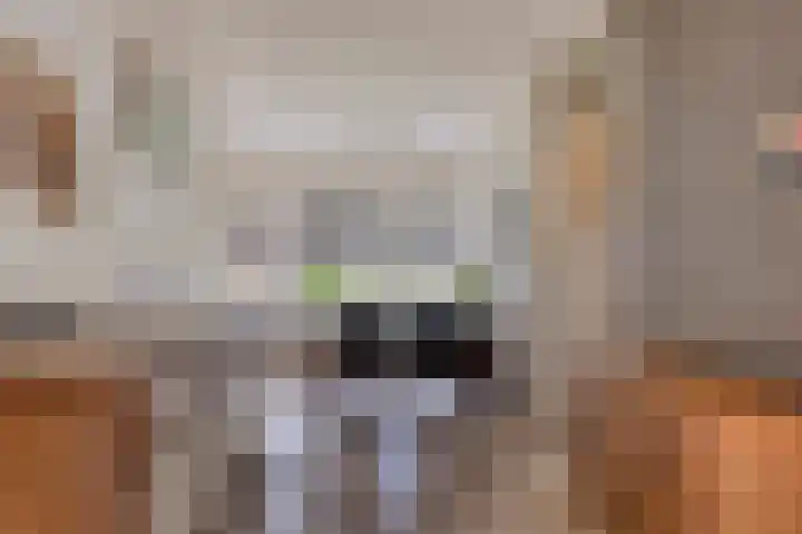 Stationsstraat 7 Nieuw-Buinen thumbnail 13