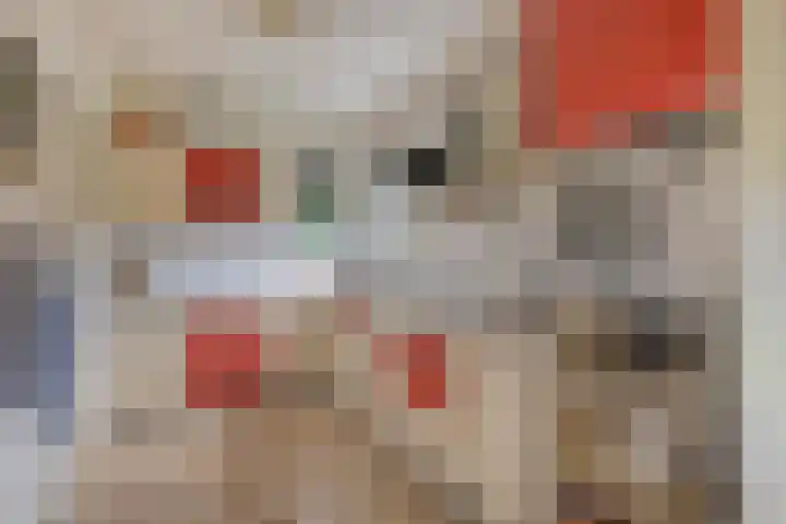 Stationsstraat 7 Nieuw-Buinen thumbnail 15