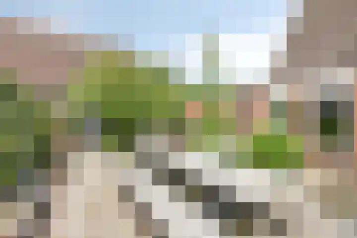 Stationsstraat 7 Nieuw-Buinen thumbnail 30