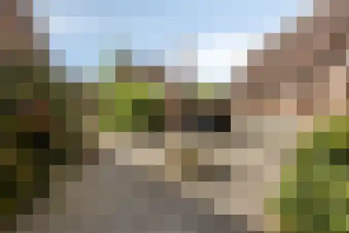 Stationsstraat 7 Nieuw-Buinen thumbnail 31