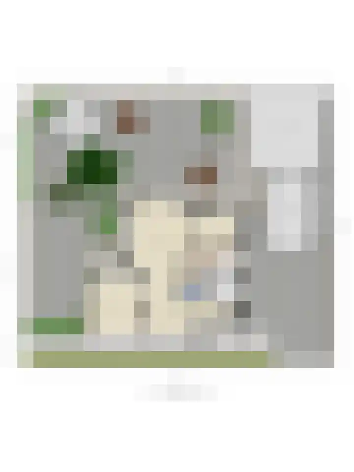 Stationsstraat 7 Nieuw-Buinen thumbnail 33