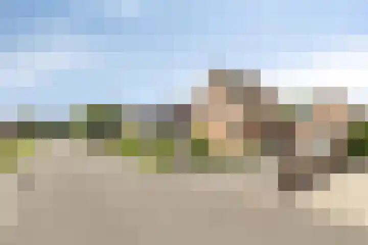 Stationsstraat 7 Nieuw-Buinen thumbnail 38