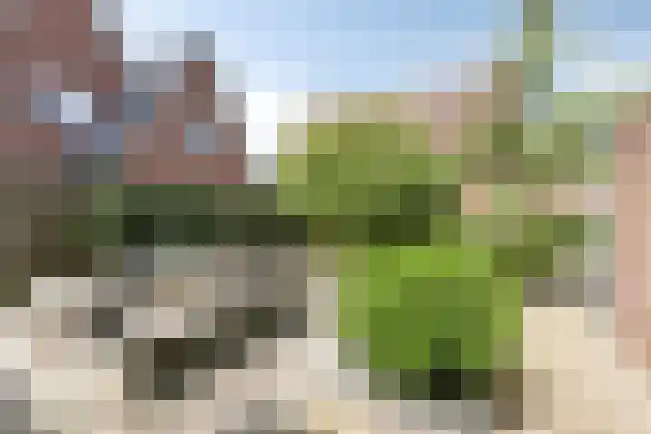 Stationsstraat 7 Nieuw-Buinen thumbnail 4