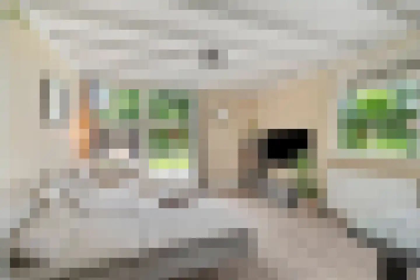 Stationsstraat 7 Zevenaar thumbnail 9