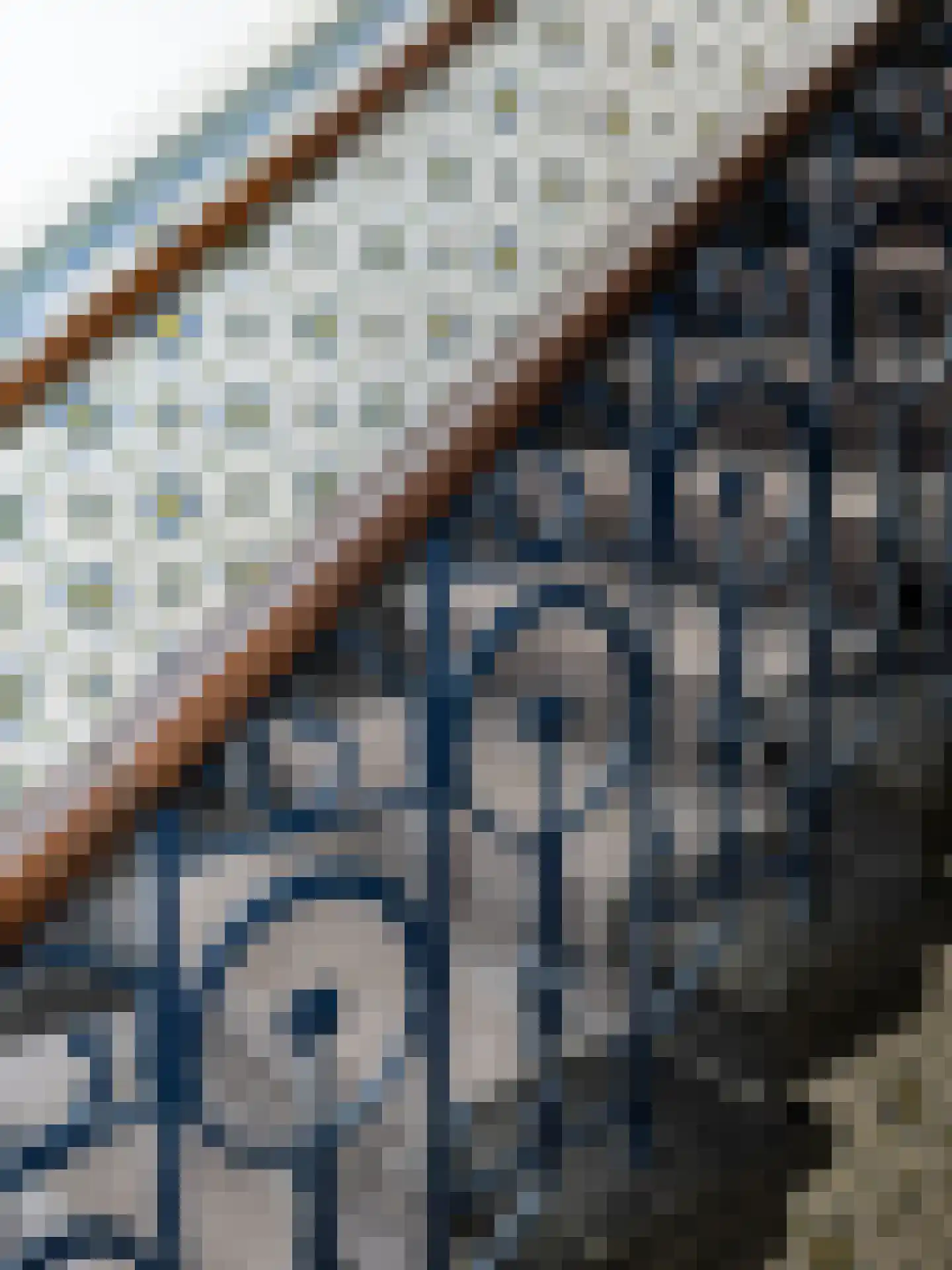 Stationsstraat 7 Zevenbergen thumbnail 11