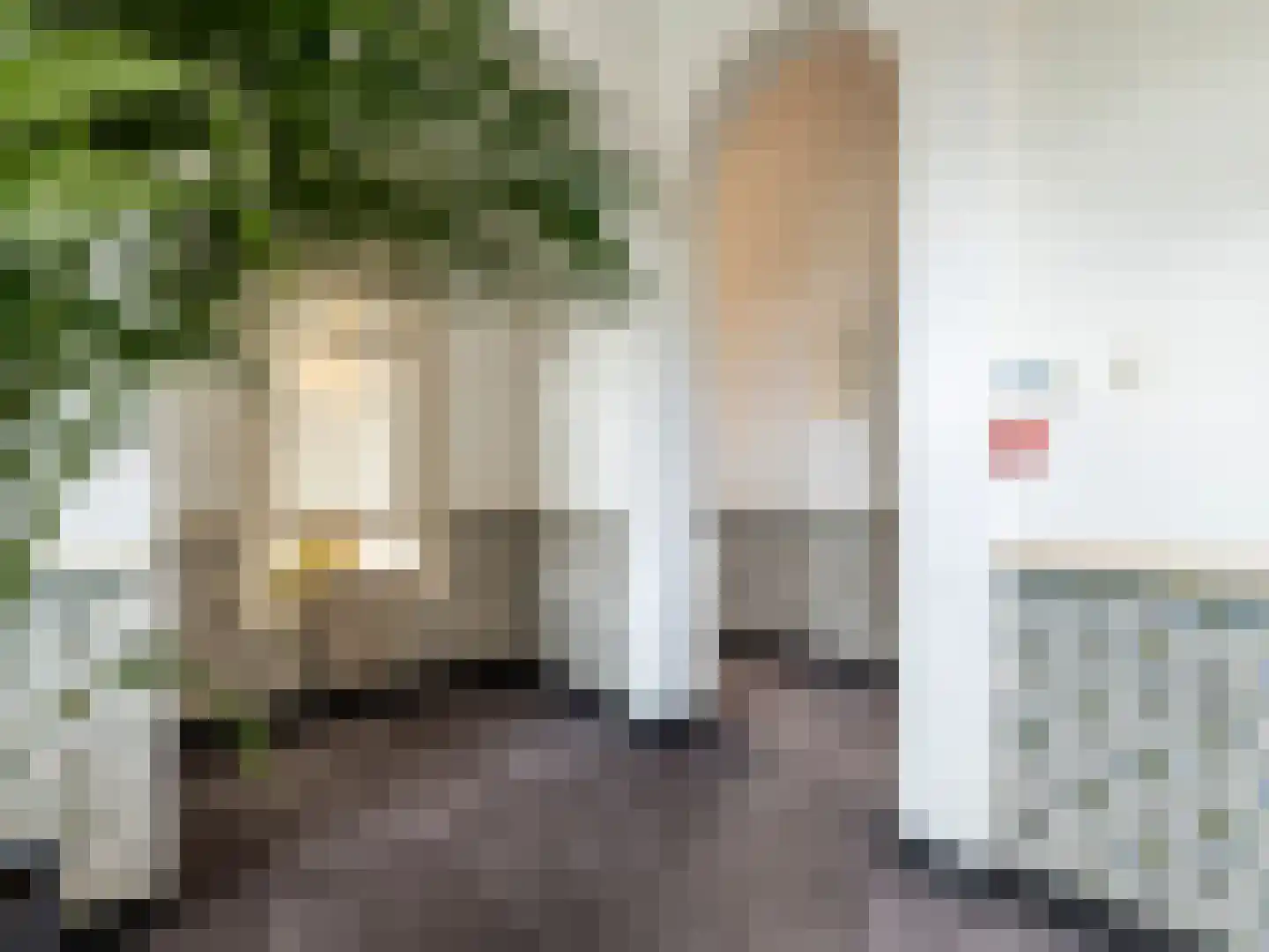 Stationsstraat 7 Zevenbergen thumbnail 22