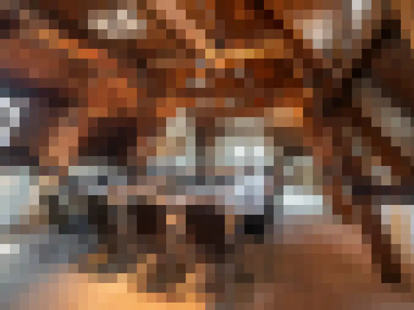 Stationsstraat 7 Zevenbergen thumbnail 31
