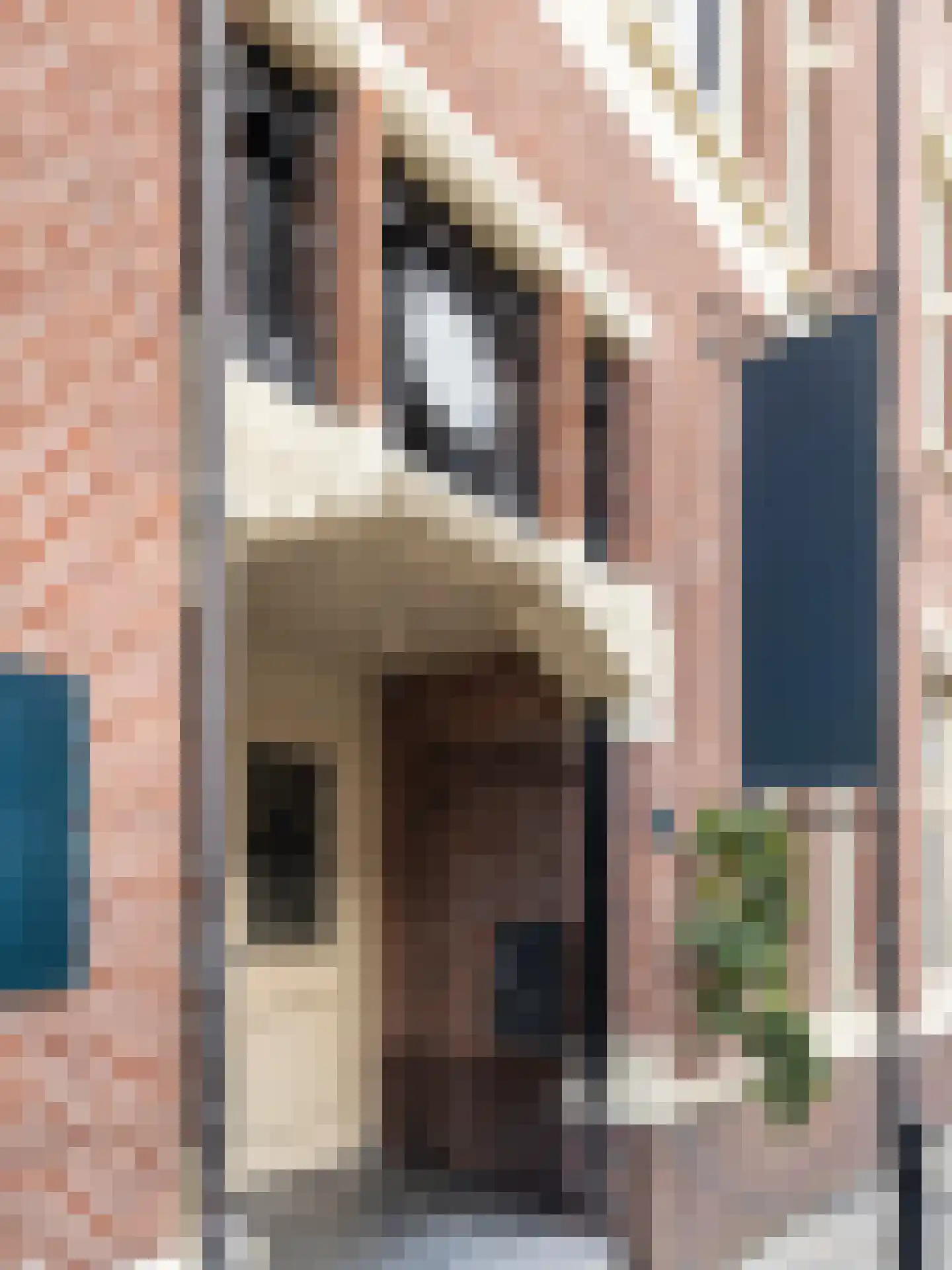 Stationsstraat 7 Zevenbergen thumbnail 6