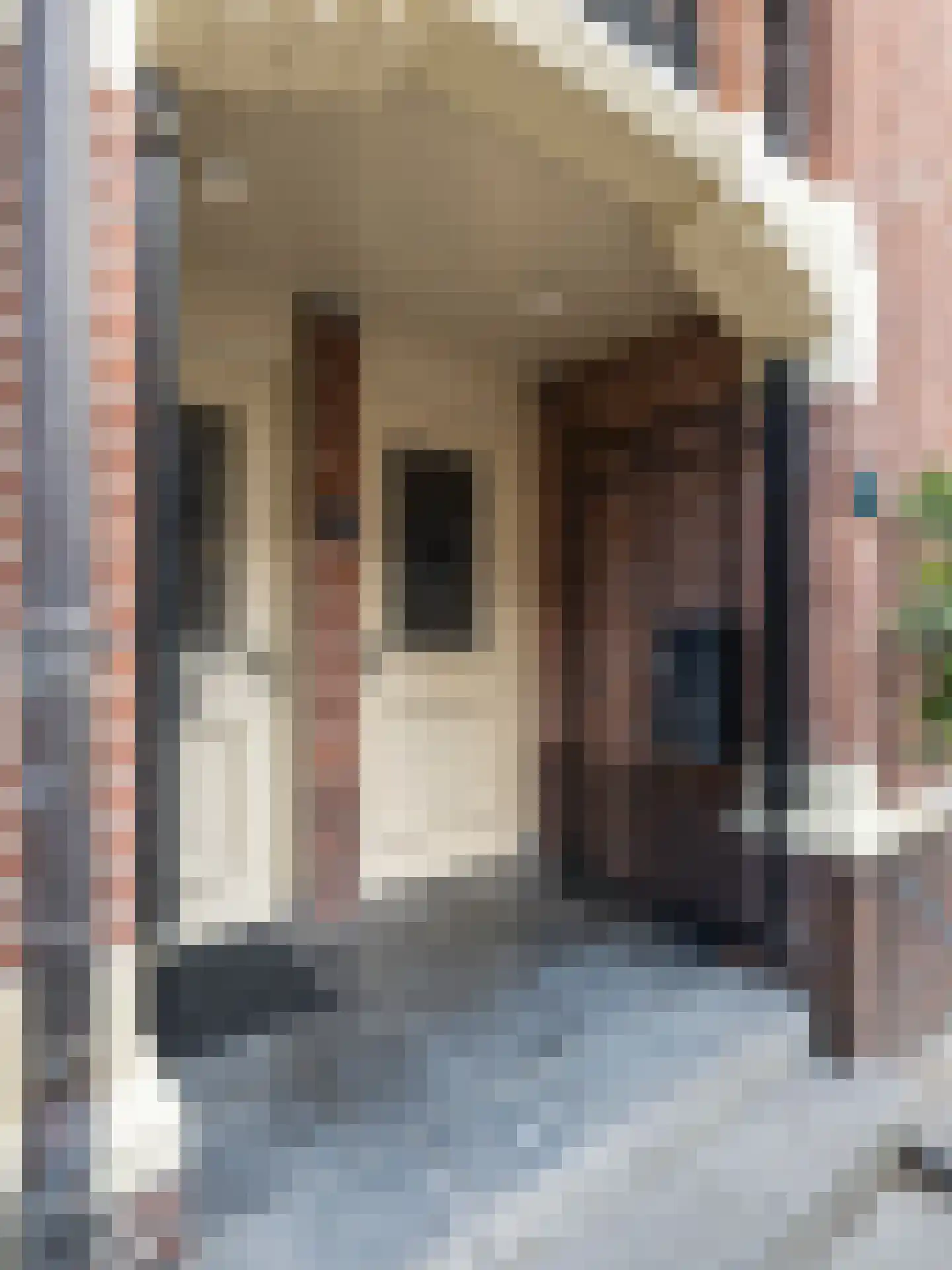 Stationsstraat 7 Zevenbergen thumbnail 8