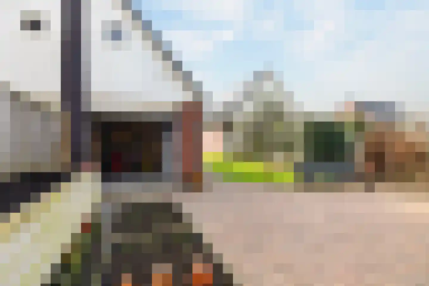 Stationsstraat 71 Veenendaal thumbnail 51