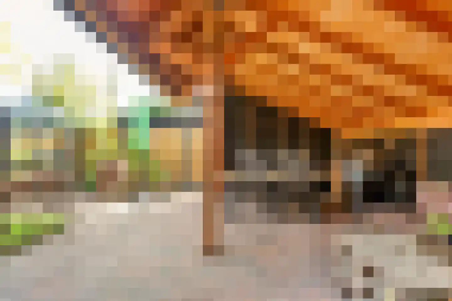 Stationsstraat 71 Veenendaal thumbnail 60