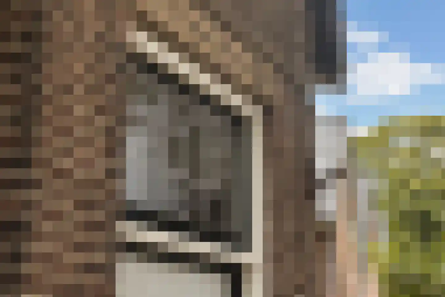 Stationsstraat 74 Maasland thumbnail 10