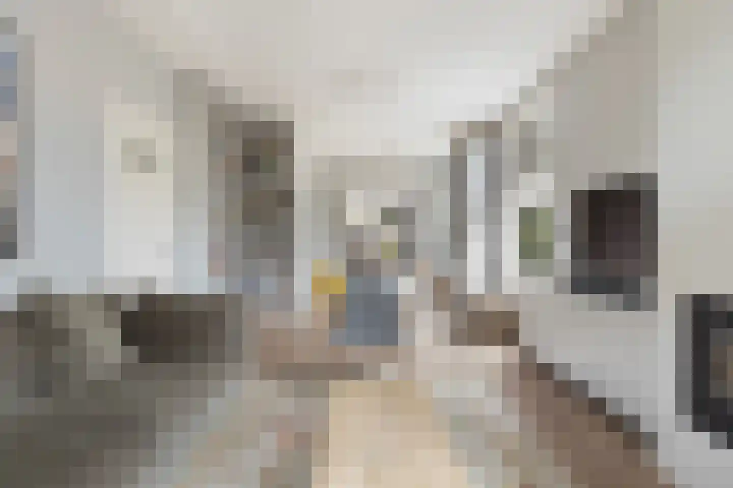 Stationsstraat 74 Maasland thumbnail 19