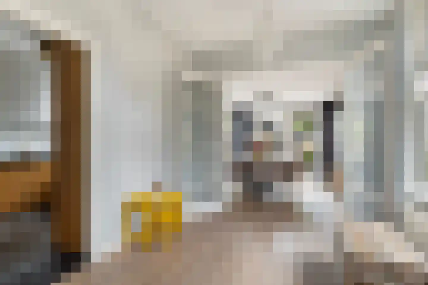 Stationsstraat 74 Maasland thumbnail 22