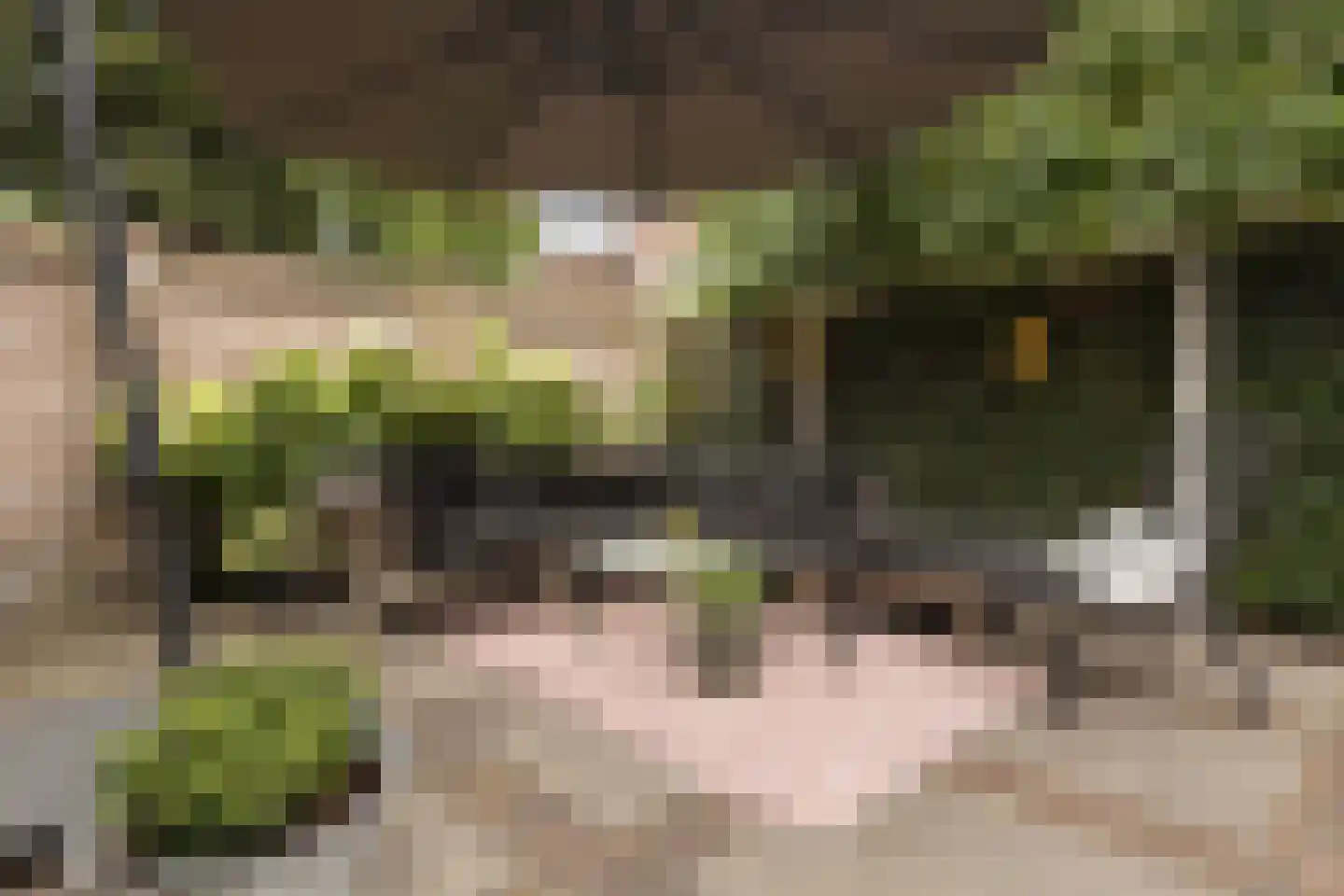 Stationsstraat 74 Maasland thumbnail 33