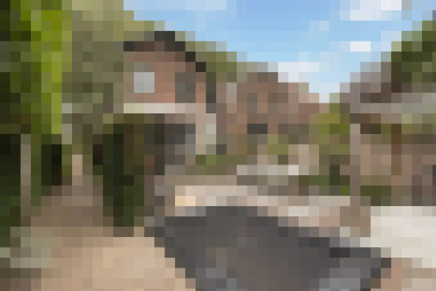 Stationsstraat 74 Maasland thumbnail 36