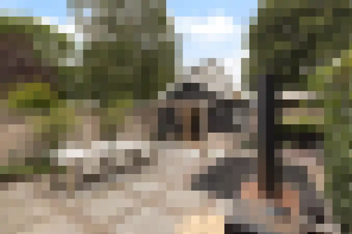 Stationsstraat 74 Maasland thumbnail 4