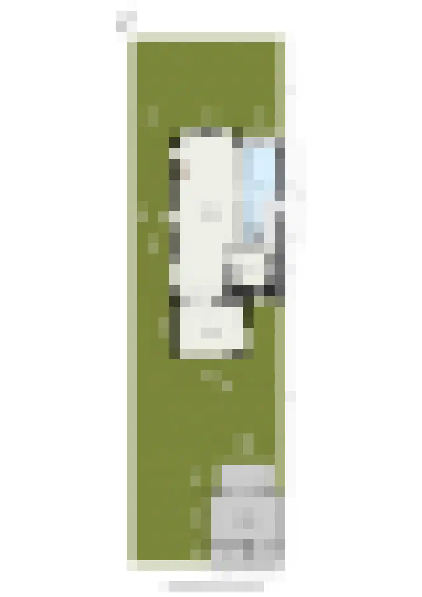 Stationsstraat 74 Maasland thumbnail 54