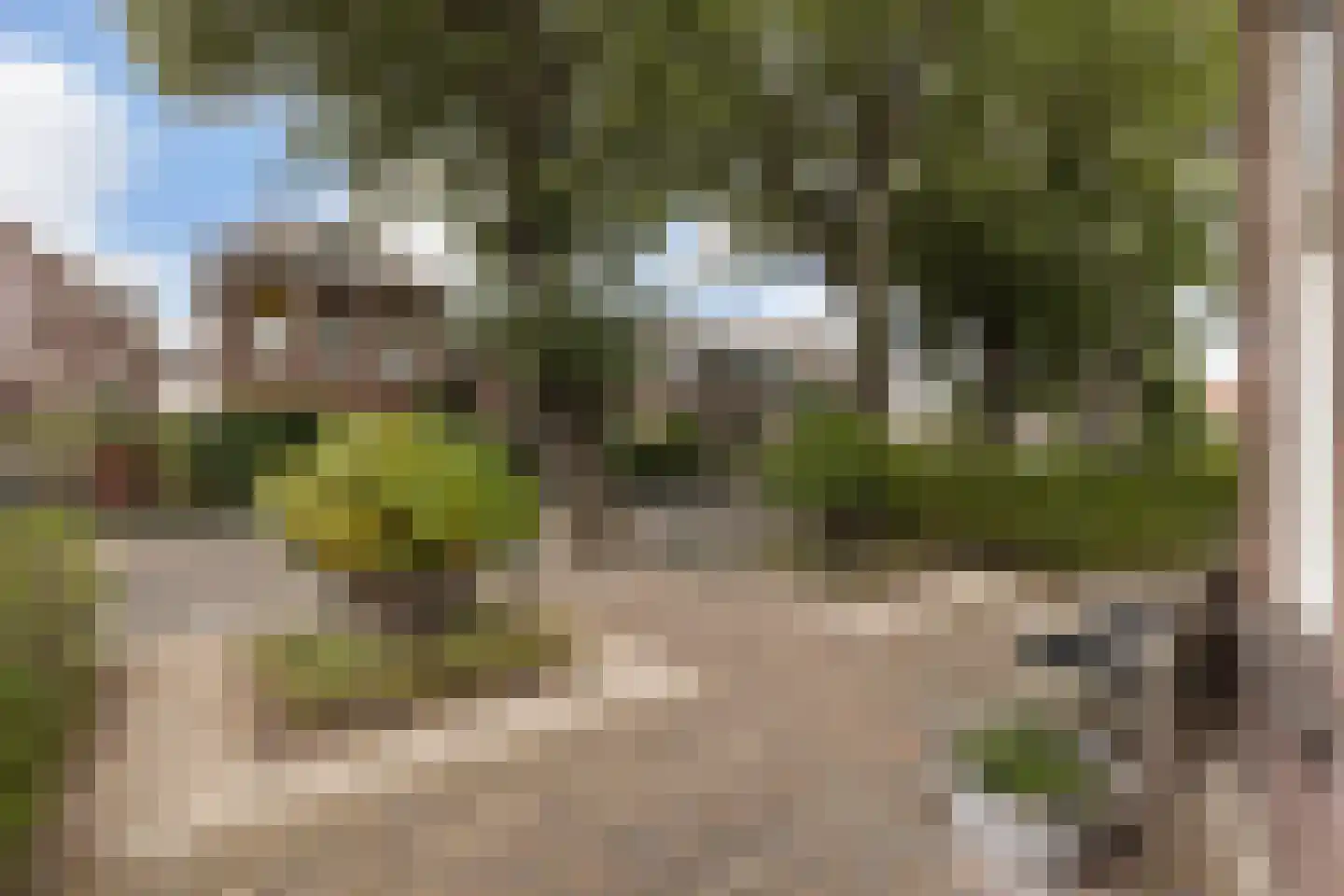 Stationsstraat 74 Maasland thumbnail 7