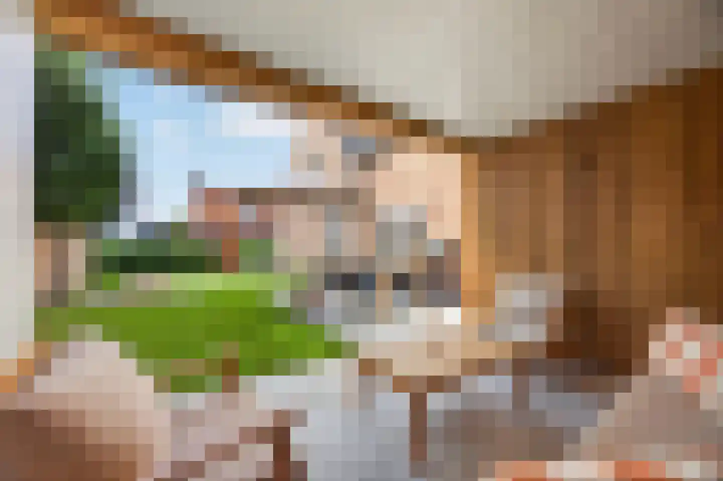 Stationsstraat 76 Drunen thumbnail 68