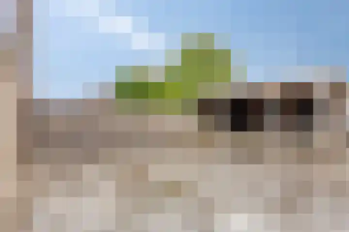 Stationsstraat 79 Warmenhuizen thumbnail 28