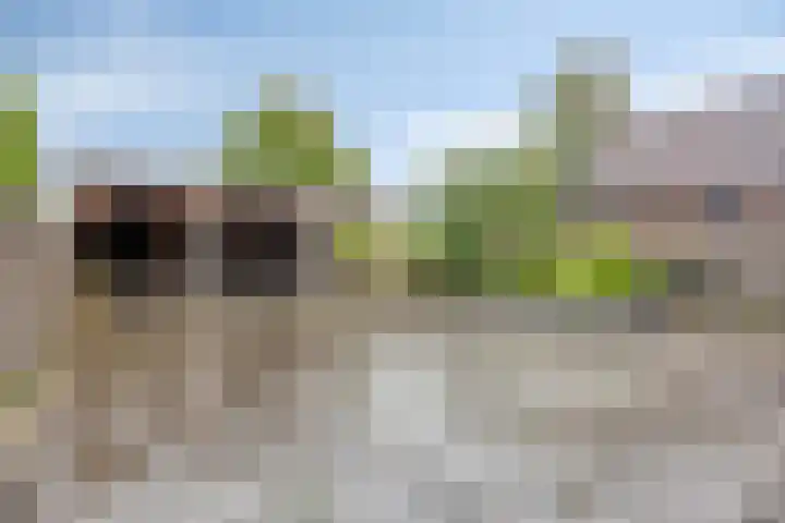 Stationsstraat 79 Warmenhuizen thumbnail 29