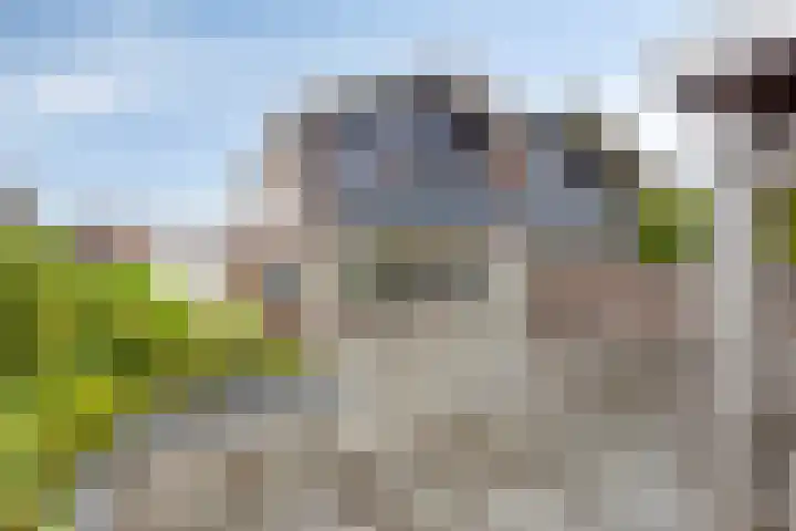 Stationsstraat 79 Warmenhuizen thumbnail 4