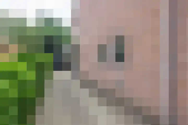 Stationsstraat 8 b Heerde thumbnail 20