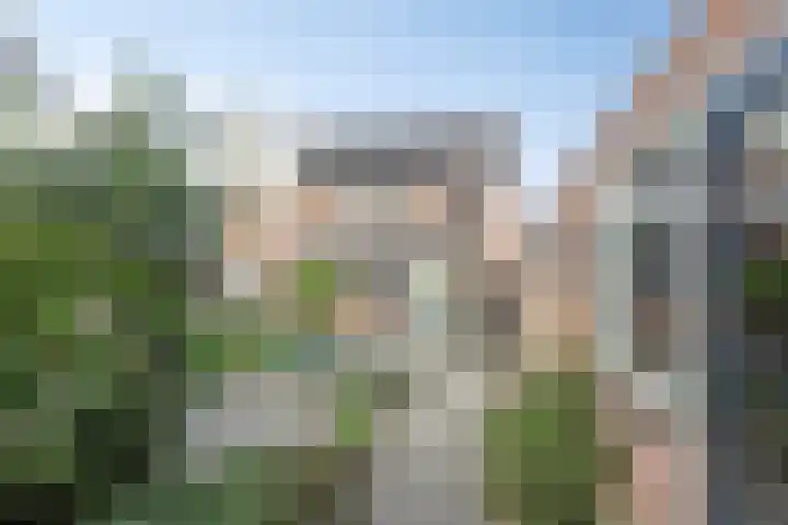 Stationsstraat 8 b Heerde thumbnail 25