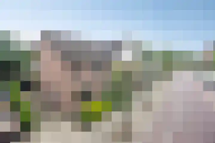 Stationsstraat 8 b Heerde thumbnail 31