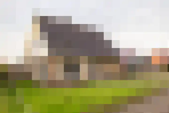 Stationsstraat 8 Ferwert thumbnail 8
