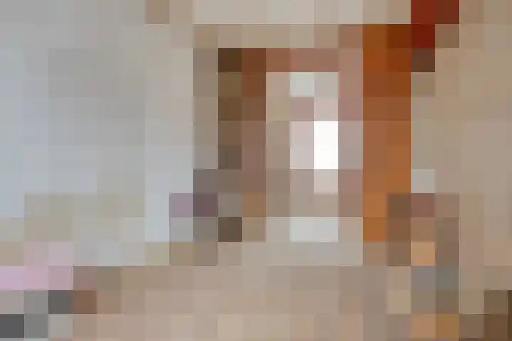 Stationsstraat 80 Waalwijk thumbnail 9